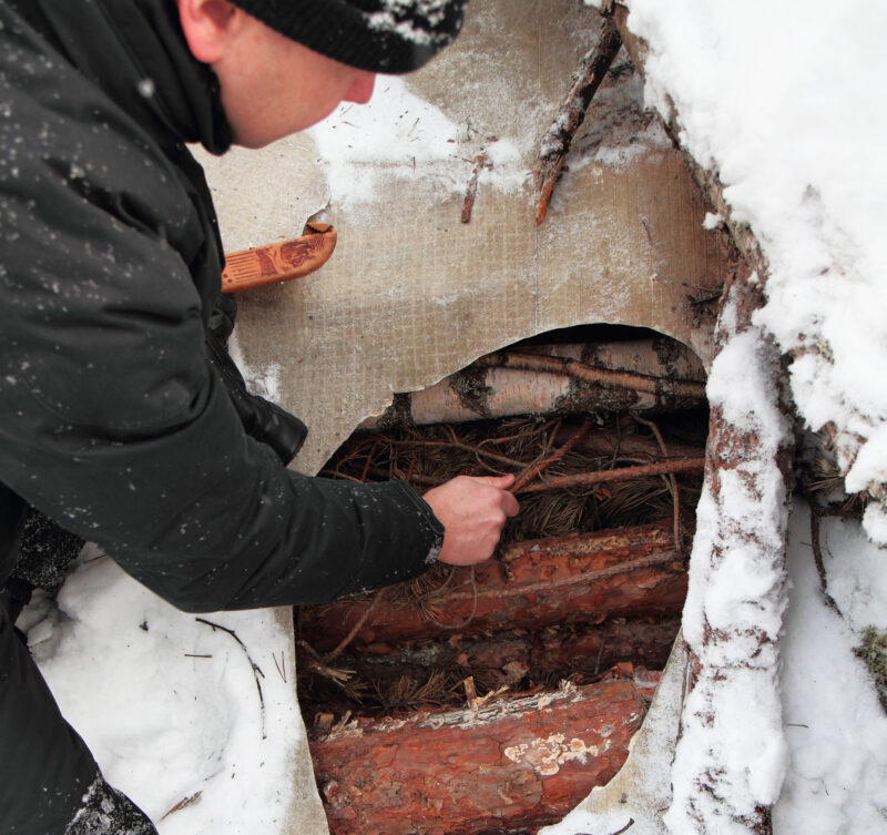walki biomass cover in winter